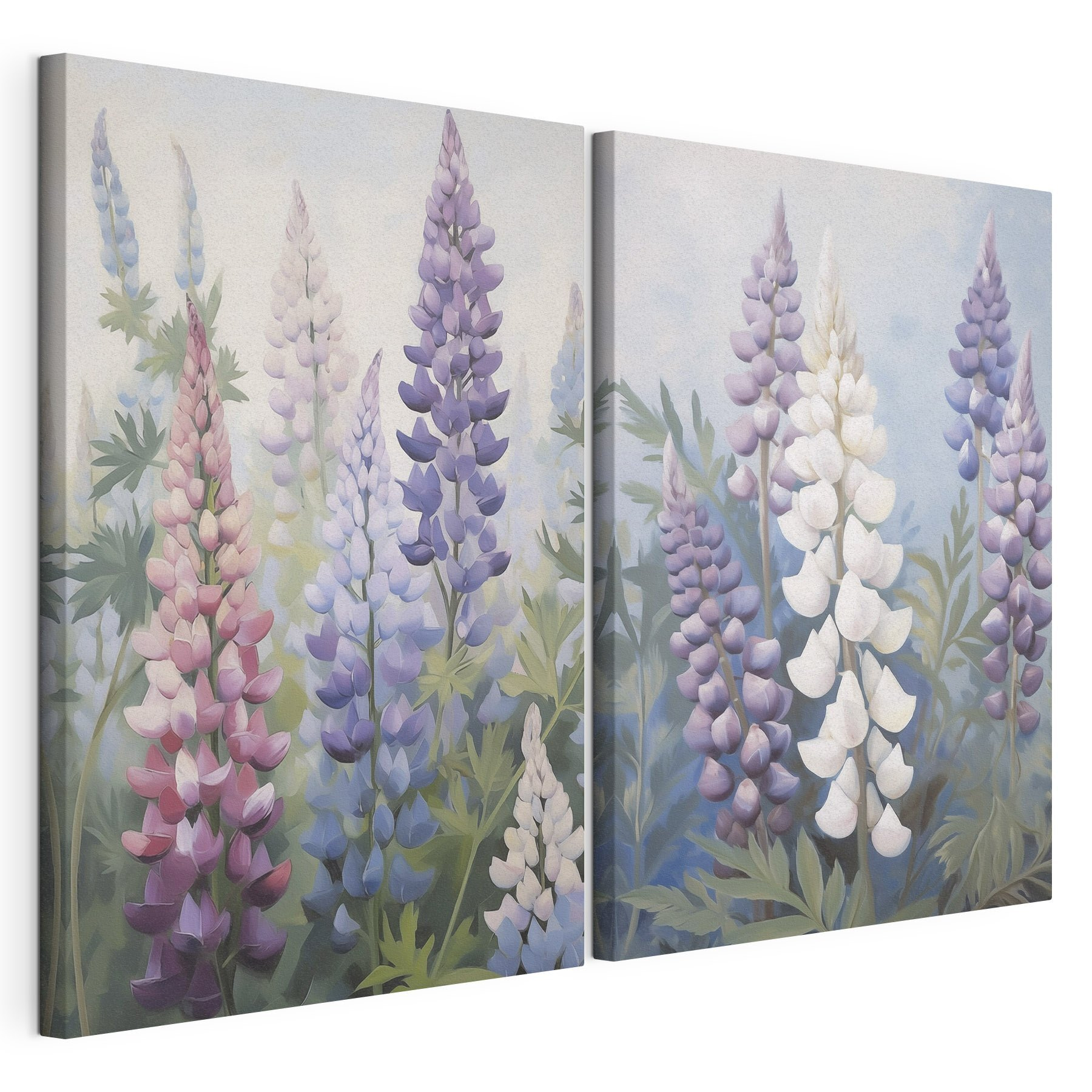 Colorful blooms in soft sunlight