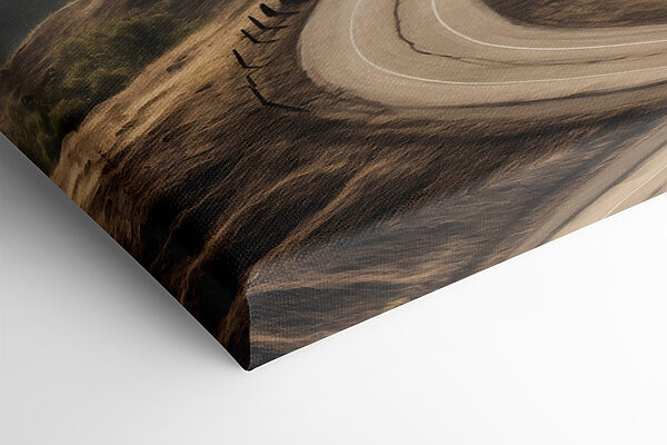 Winding road with a tree on it