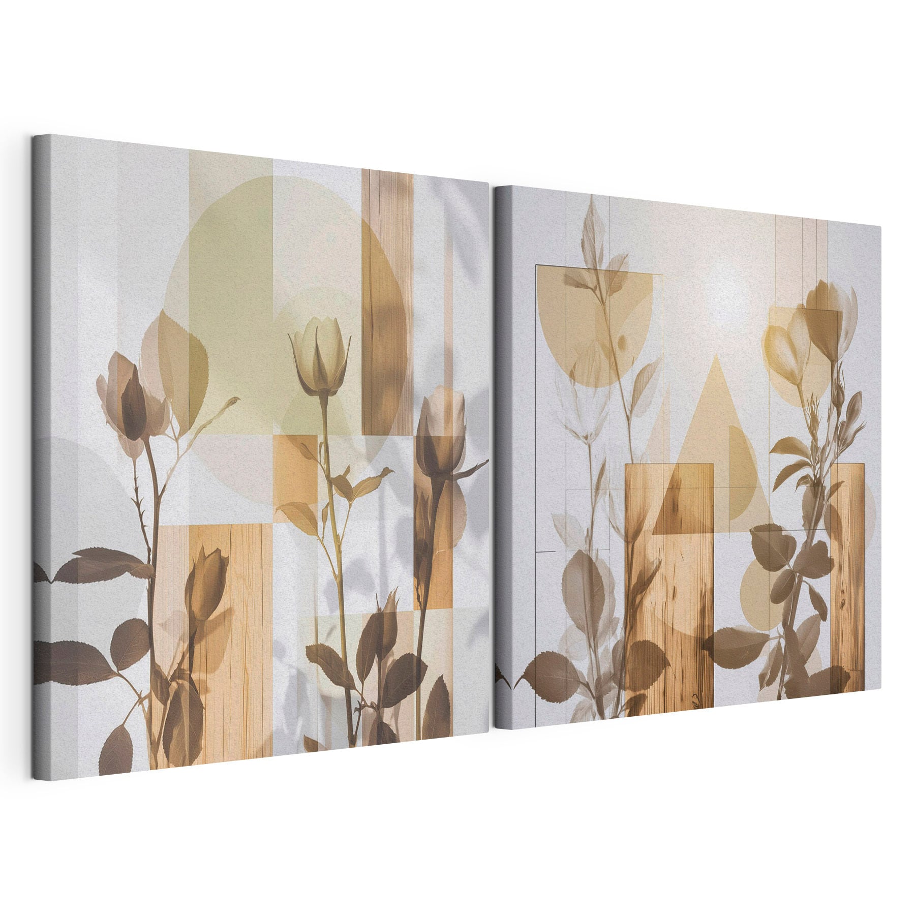 Soft petals amidst geometric shapes