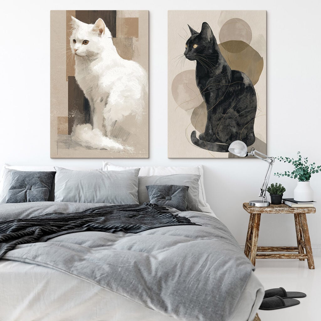 White cat and black cat