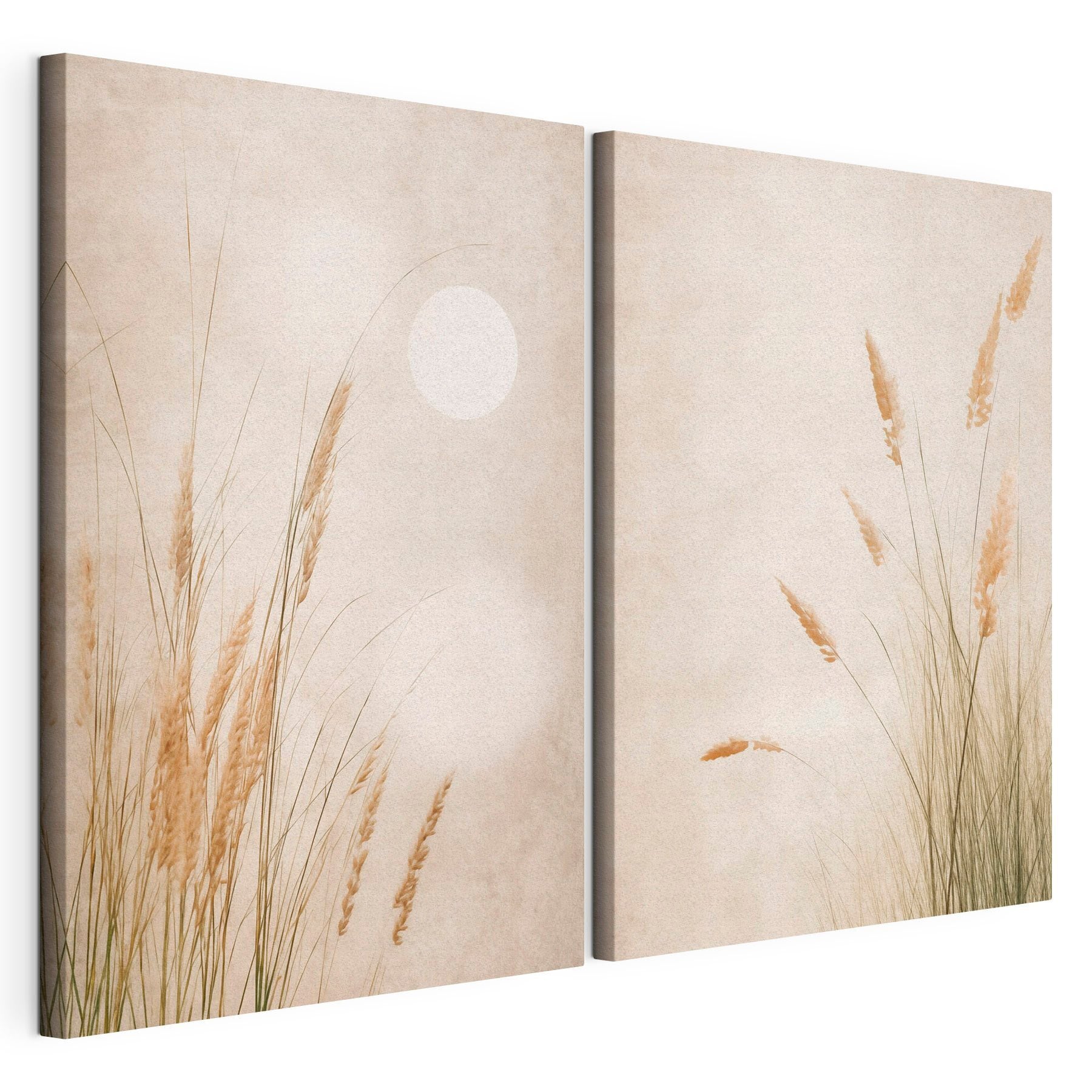 Gentle grasses under a serene sky