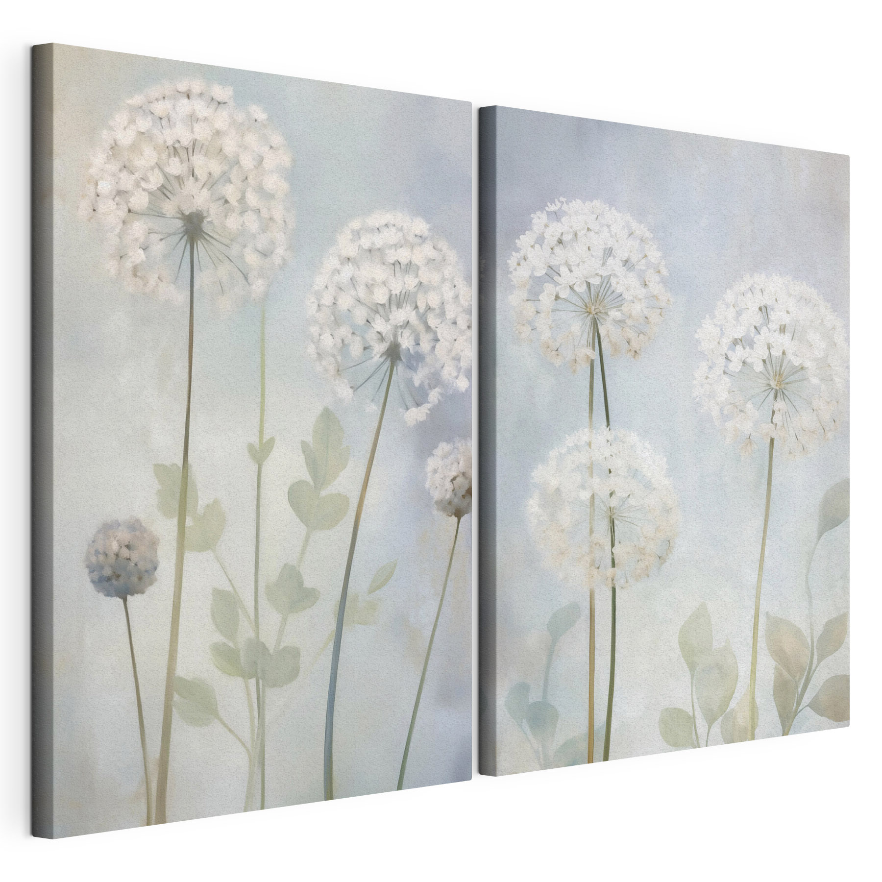 Collage of white flowers