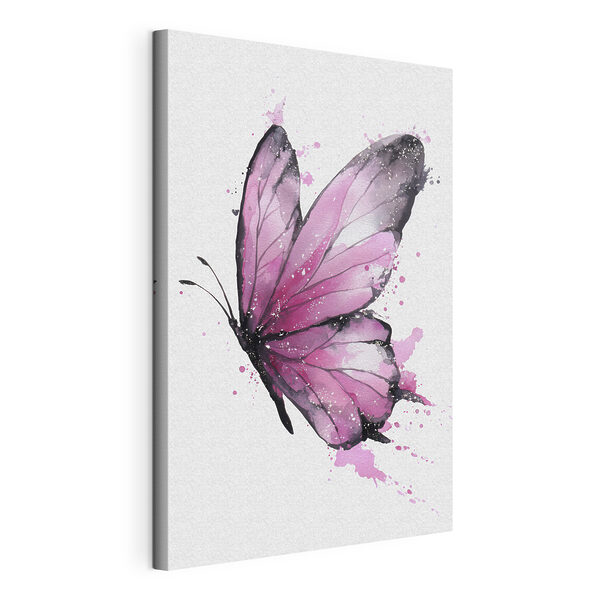 Pink butterfly with black wings