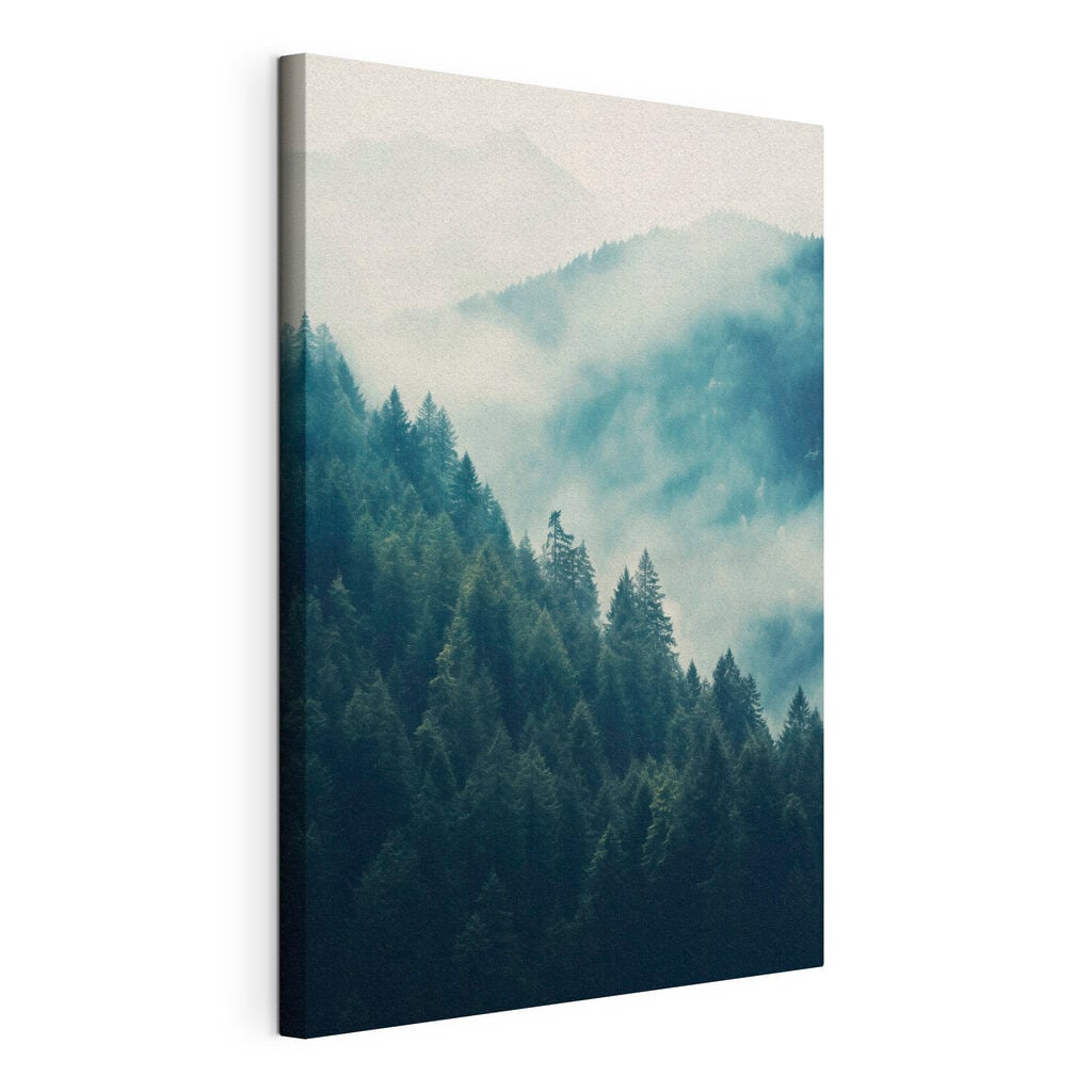 Forest of trees in the fog