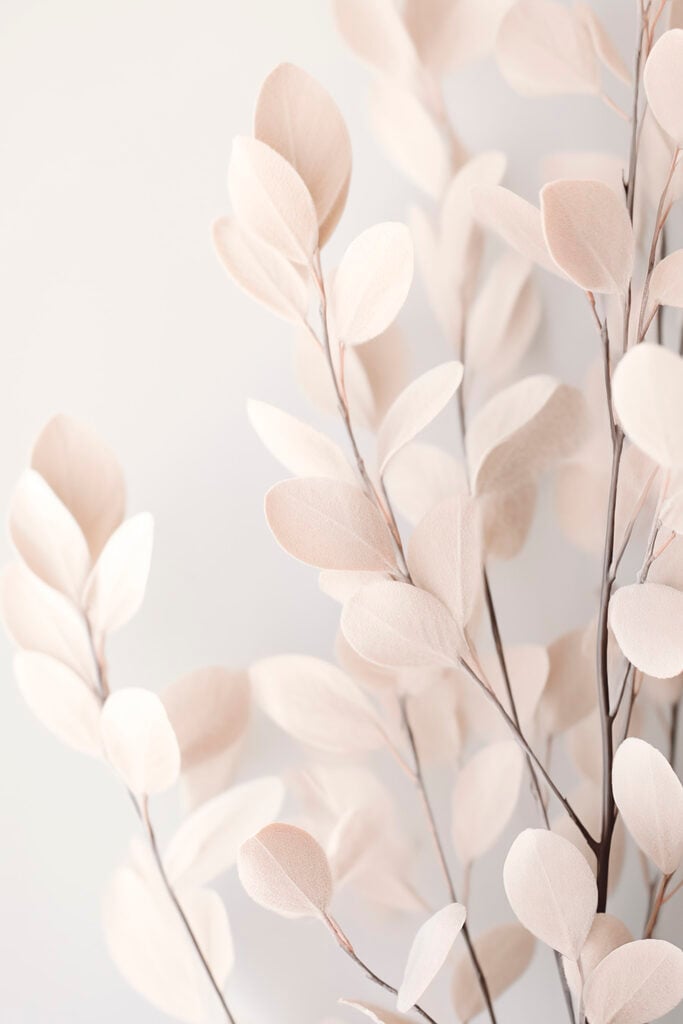 Delicate leaves against a soft background