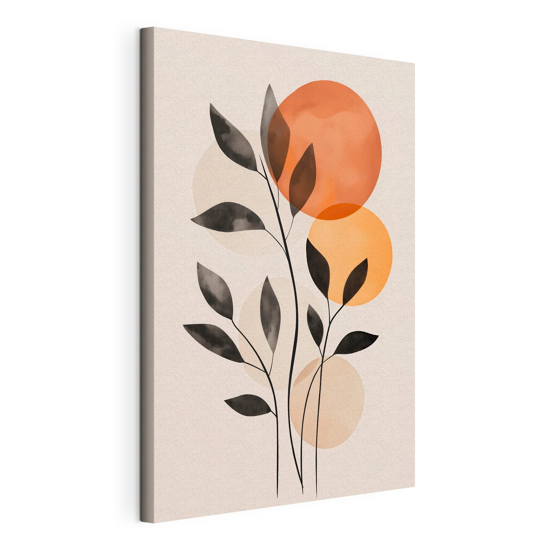 Plant with leaves and circles